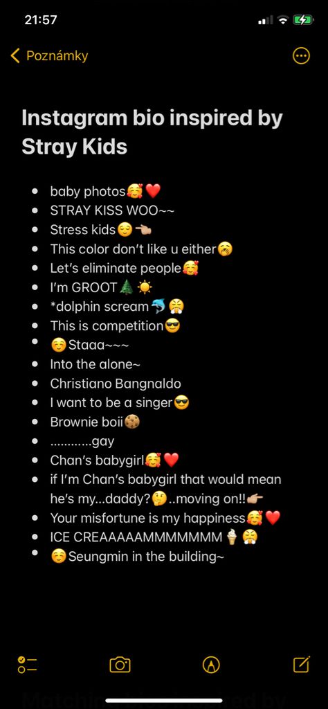 instagram bio ideas inspired by k-pop group called Stray Kids K Pop Instagram Captions, Skz Instagram Captions, Skz Related Usernames, Stay Username Ideas, Insta Kpop Bio Ideas, Twt Bio Ideas Kpop, K Pop Bio Ideas, K Pop Username Ideas Skz, Skz Caption Ideas