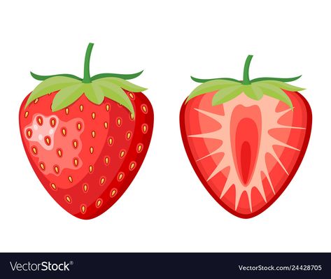 Half Strawberry Drawing, Strawberry Vector Illustration, Strawberry Slice Drawing, Strawberry Drawing Simple, Cute Strawberry Drawing, Berries Drawing, Strawberries Drawing, Strawberries Photography, Strawberries Pie