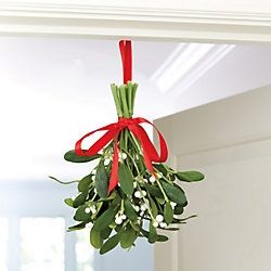 Mistletoe Diy, Christmas Kisses, Tarjetas Pop Up, Christmas Kiss, White Berries, Xmas Theme, Christmas Entertaining, Navidad Diy, Hanging Flowers