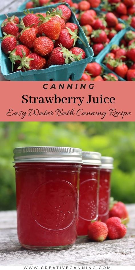 Canning Strawberry Juice Canning Fresh Fruit Juice, Ways To Preserve Strawberries, Strawberry Preservation, Juice Concentrate Recipes, Strawberry Jelly Recipe Canning, Preserving Strawberries, Canning Juice, Strawberry Canning, Canning Strawberries