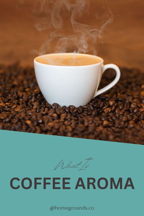 Want To Enjoy Coffee Like A Pro? Follow Your Nose! Click Here To Learn About The Importance Of Coffee Aroma When It Comes To Your Cuppa Joe. #coffee #aroma The Smell Of Coffee, Coffee Aroma, Enjoy Coffee, What To Make, Like A Pro, Click Here, To Learn, Things To Come, Coffee