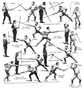 Historical European Martial Arts, Self Defense Moves, Arte Ninja, Martial Arts Techniques, Survival Life Hacks, Ju Jitsu, Martial Arts Styles, Fence Art, Combat Art