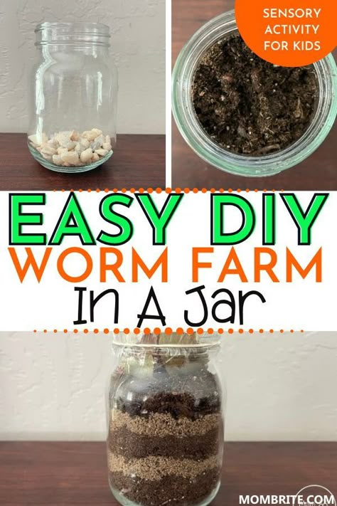 Easy Worm Farm, How To Build A Worm Farm, How To Make A Wormery, Diy Earthworm Farm, Worm Projects For Preschool, Worm Box Diy, Compost In A Jar, Earthworms For Kids, Wormery Diy How To Build