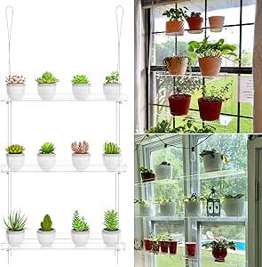 Plant Shelves Indoor, Window Plant Shelves, Indoor Windows, Pot Organizer, Hanging Plant Stand, Window Plant Shelf, Window Box Plants, Wall Hanging Plant, Pot Organization