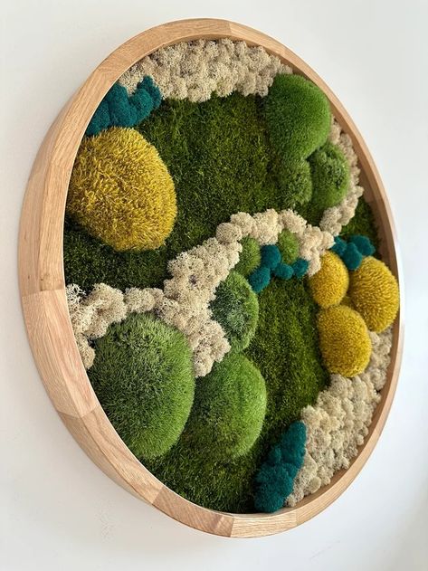 MosskiDesign - Etsy Canada Mos Wand, Moss Wall Art, Moss Art, Plant Table, Preserved Moss, Moss Wall, Plant Painting, Teak Frame, Natural Materials