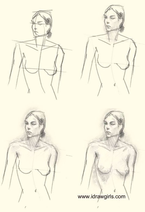 Draw Torso Female, How To Draw The Female Torso, Upper Body Drawing, Draw Female Torso, How To Draw Female Torso Step By Step, Woman’s Torso Drawing, Step By Step Sketches, Women Figure, Body Drawing