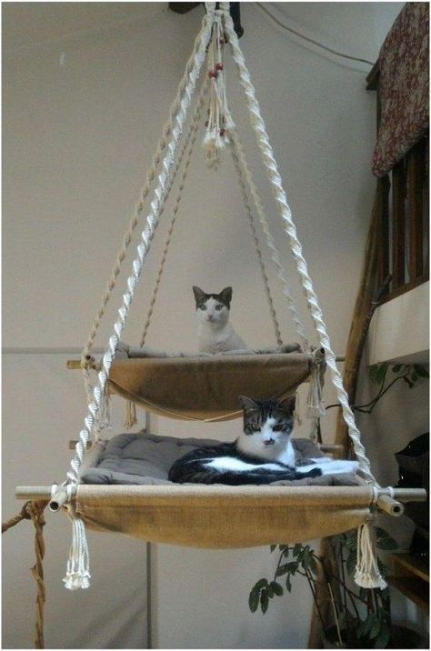 Katt Diy, Diy Dream Catcher, Katt Grejer, Diy Cat Tree, Cat Playground, Cat Hammock, Cat Shelves, Two Cats, Diy Basket