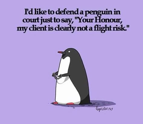 I Love Penguins Penguin Jokes, Penguin Accessories, Law School Humor, Legal Humor, Lawyer Humor, Lawyer Jokes, Penguin Art, Penguin Love, Hilarious Humor