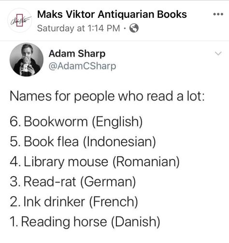 Are you all of these or would you rather stick with Book Nerd? Brea Grant, Love Books, Book Genres, Antiquarian Books, Would You Rather, Books To Buy, Book Humor, Film Movie, Love Book