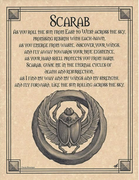 Scarab Ring, Prayer Poster, Kemetic Spirituality, Animal Spirit Guides, Egyptian Scarab, Ben Drowned, Egyptian Tattoo, Wiccan Spell Book, Pagan Witch