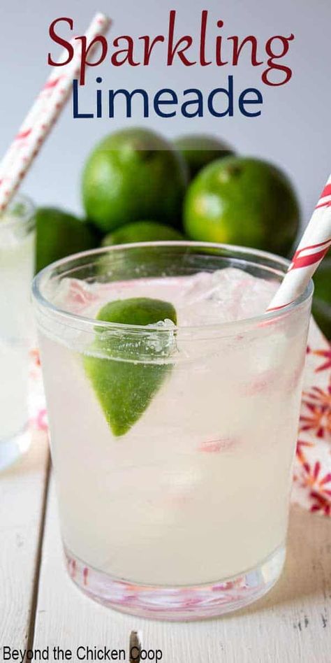 A refreshing summertime beverage that's perfect for everyone. This sparkling limeade is made with fresh squeezed lime juice, a bit of sugar and carbonated water.  #limeade #sparklinglimeade Lime Juice Recipes, Sparkling Water Recipes, Raspberry Lemonade Recipe, Soda Stream Recipes, Cocktails Vodka, Vodka Cranberry, Flavored Waters, Plating Food, Limeade Recipe