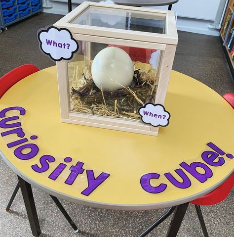 Katrina on Instagram: “The curiosity cube is all set up ready for some inquisitive lil’ beans to see next week! Our theme is Dinosaurs so why not plant a giant…” Curiosity Box Ideas Eyfs, Curiosity Cube Ks1, Curiosity Cube Eyfs Ideas, Eyfs Dinosaurs, Curiosity Approach Eyfs, Investigation Area, Preschool Classroom Setup, Dinosaur Classroom, Curiosity Box