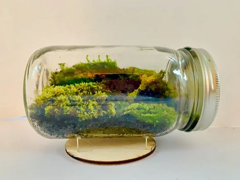 Plant Room Aesthetic, Vivarium Ideas, Mason Jar Terrarium, Jar Terrarium, Easy Mason Jar Crafts, Large Terrarium, Solar Tracker, Garden Goddess, Terrarium Jar