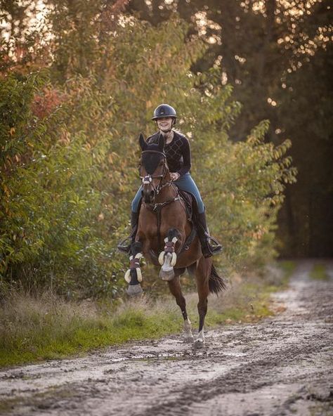 Jumper Aesthetic, Equestrian Photoshoot, Jumping Pictures, Show Jumping Horses, Equestrian Aesthetic, Eventing Horses, English Horse, Dream Horse, Horse Aesthetic