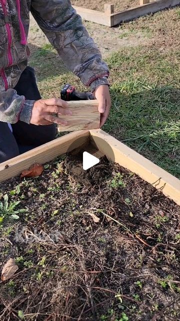 Vegetable Boxes Garden, Garden Structures Diy, Raised Bed Garden Diy, Pallet Garden Bed, Small Garden Bed Ideas, Unique Raised Garden Beds, Raised Beds Garden, Raised Bed Layout, Wicking Garden Bed