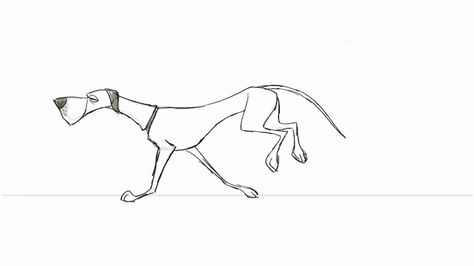 Dog Running Animation, Dog Run Cycle, Dog Character Design, Walking Animation, Dog Run, Canine Drawing, Pencil Test, Animation Ideas, Run Cycle