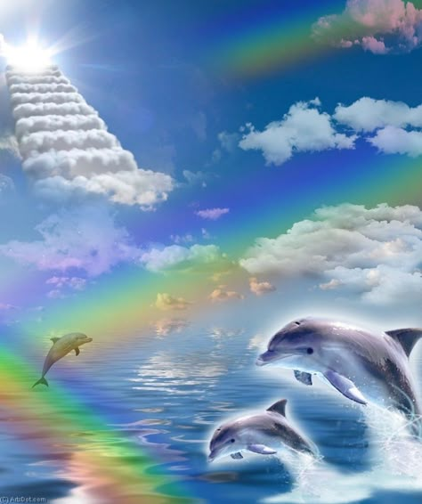 Frutiger Aero Tropical, Frutiger Aero Dolphin, Dolphins And Rainbows, 100gecs Aesthetic, Aero Dolphins, Old Webcore Wallpaper, 100 Gecs Aesthetic, Weird Webcore, Old Webcore