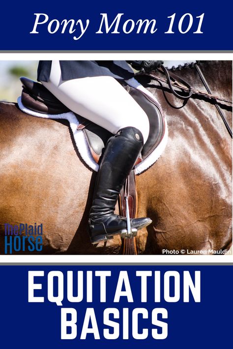 Equitation is known as a good, secure position, and it’s the single most important thing your child will learn. This article is an in-depth look into the world of Horse showing for new moms. The equestrian show world is a huge one- it's best to be prepared! Horse Show Outfits English, Horse Show Outfits, Mane Braids, Horse Mane Braids, Riding Instructor, Horse Show Mom, Dressage Exercises, Horseback Riding Tips, Horse Showing