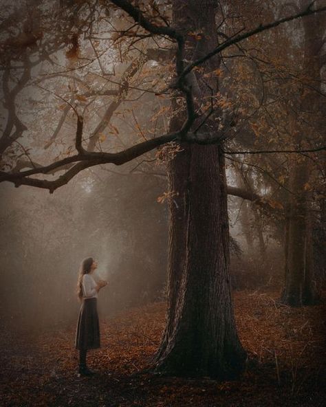 Early Autumn Aesthetic, Big Sheds, Autumn Magic, Dark Autumn, Magic Aesthetic, Outdoor Photoshoot, Early Autumn, Fall Photoshoot, Autumn Forest