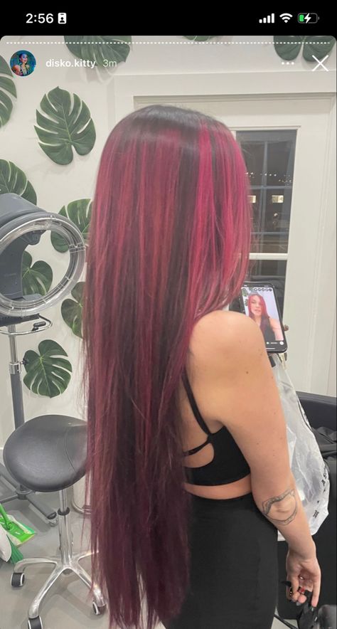 Pink And Black Skunk Hair, Red Hair With Black Skunk Stripe, Long Black And Pink Hair, Hot Pink Skunk Stripe Hair, Plum Purple Highlights, Pink Hair With Black, Red And Hot Pink Hair, Hot Pink Roots With Black Hair, Pink Sunk Strip Hair