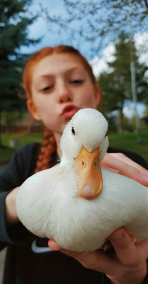 Duck Photoshoot, What The Duck, Duck Pictures, Pet Ducks, Hockey Memes, Duck Art, Ginger Girls, Art Poses, Insta Photo Ideas