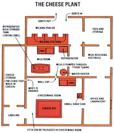 62 best Micro Dairy Dreaming images on Pinterest | Dairy, Hobby ... Milk Parlor, Cheese Business, Milking Parlor, Cheese Farm, Dairy Business, Goat Health, Barn Layout, Goat Milking, Small Goat