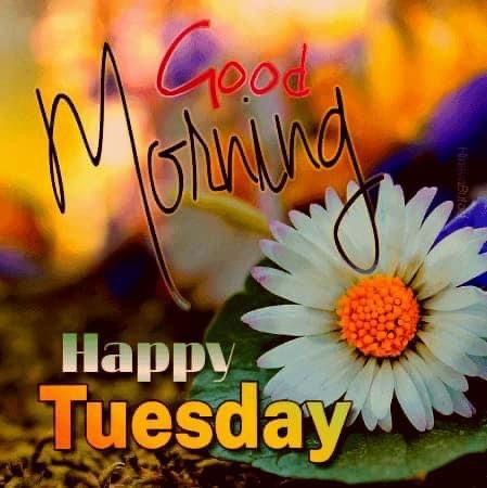 Happy Tuesday Gif, Tuesday Gif, Tuesday Morning Wishes, Good Morning Happy Tuesday, Happy Tuesday Images, Tuesday Quotes Good Morning, Tuesday Images, Tuesday Greetings, Hello Tuesday