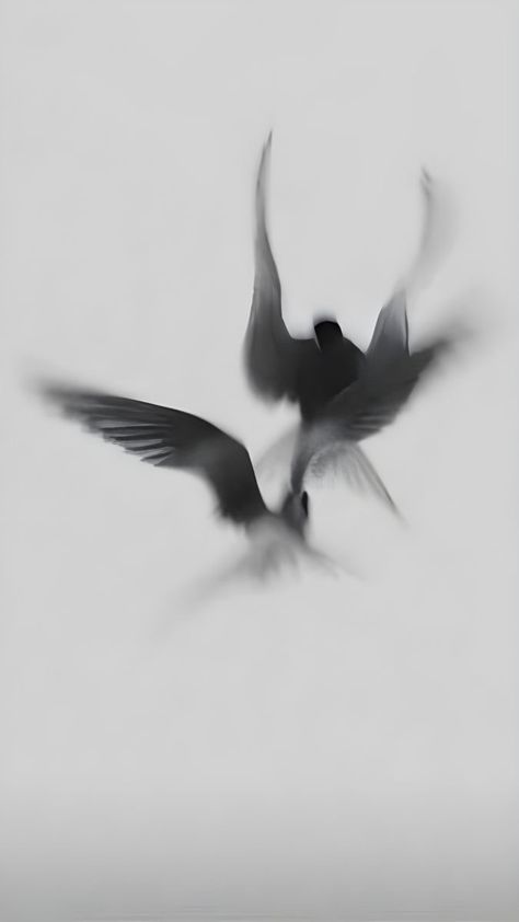 Trippy Tattoo, Swan Tattoo, Iphone Wallpaper Stills, Simple Iphone Wallpaper, The Lovers, Design Tattoo, Black And White Aesthetic, Ethereal Art, Animal Tattoos