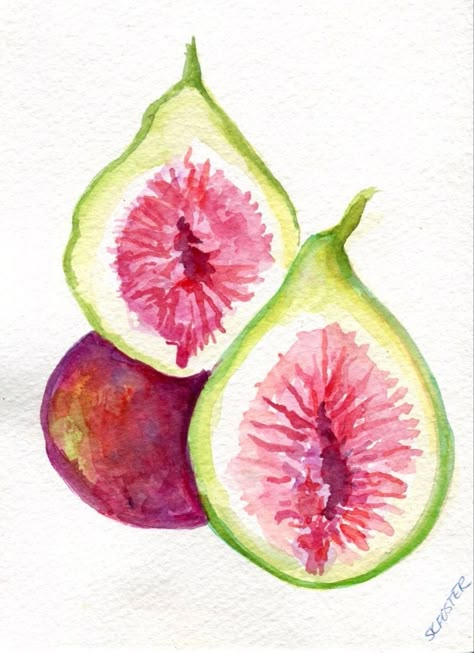 Fruit Illustration Art, Illustration Art Watercolor, Fruit Artwork, Watercolor Fruit, Art Watercolor Painting, Fruit Illustration, Illustration Art Drawing, Watercolor Art Lessons, Fruit Art