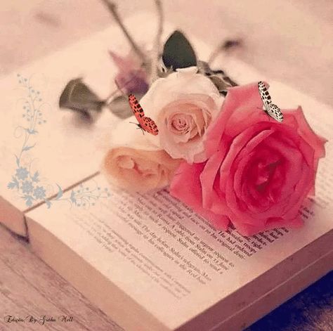 Animated Flowers, Butterfly Gif, Beau Gif, Red Roses Wallpaper, Roses Book, Good Morning Beautiful Images, Tree Woman, Book Flowers, Flowers Gif