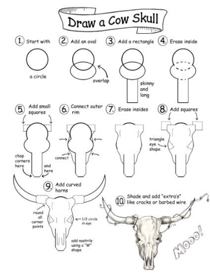 Cow Skull Watercolor, How To Draw A Cow Skull Step By Step, How To Draw A Bull Skull, How To Draw A Cow Skull, How To Draw A Longhorn, Desert Skull Drawing, Western Skull Drawing, How To Draw Animal Skulls, Cow Skull Art Drawing