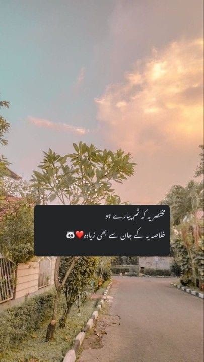 Couple Halal, Urdu Shayari Love, Urdu Poetry Love, Love Shayari Romantic, Romantic Poetry Quotes, Love Quotes In Urdu, Poetry Photos, Love Romantic Poetry, Soul Love Quotes