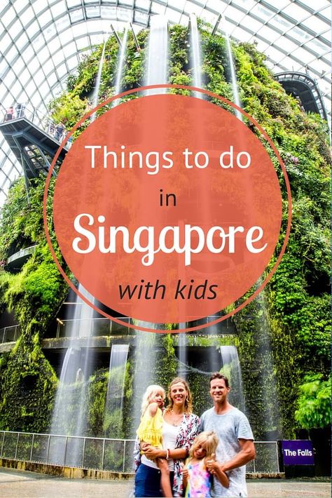 Singapore is great for families. Here is our top 8 things to do in Singapore with kids, plus tips on where to eat and sleep! Singapore Holiday, Singapore With Kids, Singapore Things To Do, Singapore Attractions, Holiday In Singapore, Singapore Itinerary, Things To Do In Singapore, Visit Singapore, Things To Do With Kids