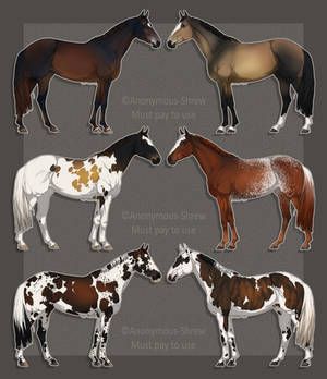 Anonymous-Shrew - Student | DeviantArt Brindle Horse, Splash Frame, Liver Chestnut, Horse Animation, Buckskin Horse, Equine Artwork, Horse Markings, Horse Coat Colors, Horse Inspiration