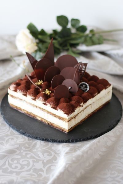 Tiramisu Design, Kue Macaroon, Dessert Presentation, Tiramisu Cake, Tiramisu Recipe, Pastry And Bakery, Fancy Desserts, Pastry Cake, Cooking Recipes Desserts