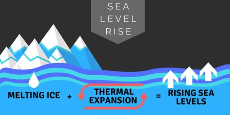 What is causing seal level rise? There are two main factors contributing to sea level rise. The first is thermal expansion caused by warming of the ocean. As water temperature warms, it expands, increasing the volume of ocean water. The second contribution to sea level rise is melting of land based ice. This ice includes glaciers and ice sheets that are melting at increased rates due to warming global temperatures Rising Sea Levels Illustration, Sea Level Rise Illustration, Science Diagrams, Rising Sea Levels, Glaciers Melting, Easy Korean Words, Greenhouse Effect, Presentation Backgrounds, 5th Grade Science