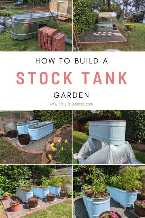 Have you had challenges growing food in the dirt in your yard. If your soil is hard clay or is full of roots or rocks, a raised bed garden could be the solution. Learn to build a raised bed stock tank garden in six steps. #pnwgardener #stocktankgardens #stocktanks #hillbillygarden #oregongardening #growwhatyoueat #creativegardens #gardendesign #raisedbedgardens #landscapedesign Water Tank For Garden, Galvanized Tank Garden, Stock Tank Raised Bed Garden, Garden Stock Tank, Stock Tanks For Gardening, Stock Tank Flower Garden, Water Trough Raised Garden Beds, Stock Tank Planter Raised Beds, Stock Tank Garden Ideas