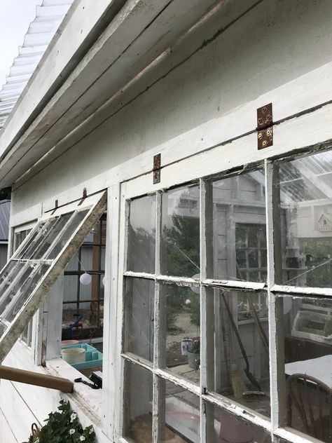 Window Shed Ideas, Garden Shed Windows, Turning Shed Into Greenhouse, Shed Turned Into Greenhouse, Wood Window Greenhouse, Shed To Greenhouse Conversion, She Shed Greenhouse Ideas, Shed Window Ideas, Garden Shed With Greenhouse