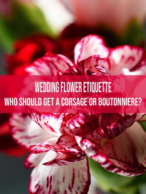 Wedding Flower Etiquette - Who Should Get A Corsage Or Boutonniere? Who Gets A Corsage At A Wedding, Buttonhole Flowers, Bridal Party Flowers, Wedding Party Flowers, Mother Wedding, The Hollywood Bowl, Wedding Etiquette, Corsage Wedding, Mexican Wedding