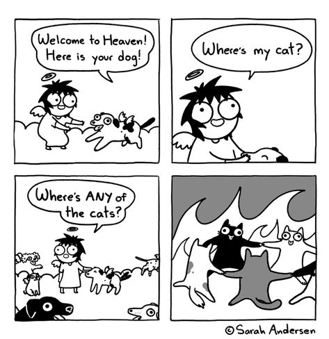 For September 23, 2020 Sarah Scribbles, Scary Novels, Sarah's Scribbles, Sarah Andersen, Cats And Dogs, Cute Comics, Best Funny Pictures, Comic Strip, Crazy Cats