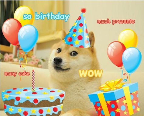 Doge happy birthday meme free download Meme Party, Doge Meme, Happy Birthday Celebration, Birthday Wishes Messages, Birthday Cheers, Happy Birthday Meme, Happy Birthday Funny, Birthday Captions, Birthday Meme