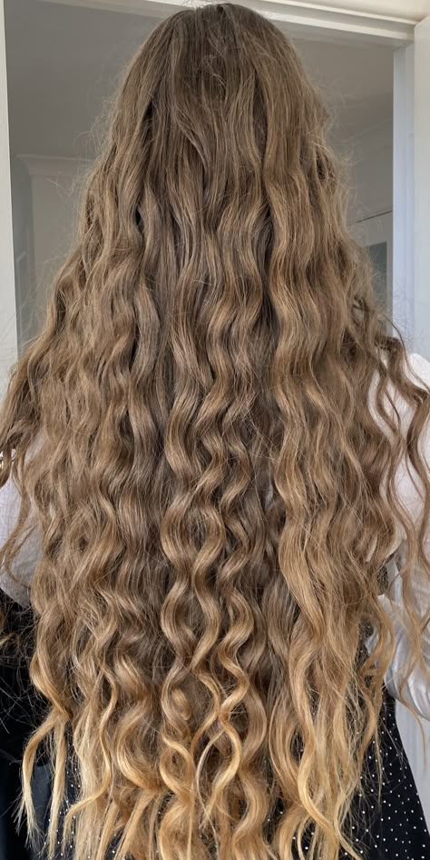 Long Blond Curled Hair, Brown Curled Hair Long, Long Curly Hair Light Brown, Blond Big Curly Hair, Pelo Ondulado Natural, Blonde Curly Hair Natural, Long Dark Brown Hair Curly Loose Curls, Hairstyle Black Hair, Long Wavy Golden Blonde Hair