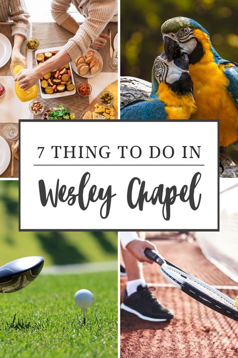 Wesley chapel is a small town, but it has plenty to offer. Here are 7 things you can do in this charming place that will make your visit unforgettable. If you're looking for something different than Orlando or Tampa then come on over to Wesley Chapel. Whether its history, culture, food & drink or outdoor activities there's no shortage of interesting things about this city. All sorts of hidden gems waiting here for you to explore too including these seven "must" list items below... Wesley Chapel Florida, Midwest Travel, Cheap Things To Do, Culture Food, Us Destinations, Pier Fishing, This City, Best Hikes, Gulf Of Mexico