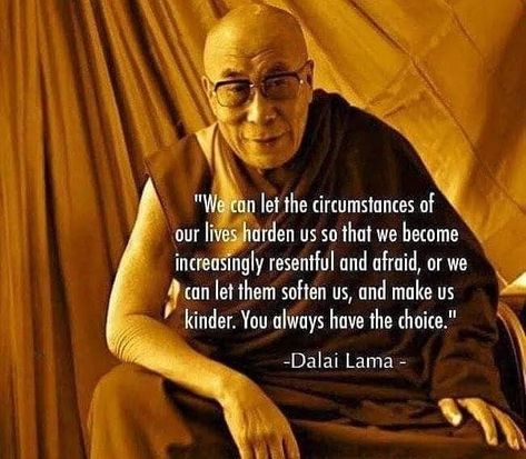 Dali Lama, Lama Quotes, Dalai Lama Quotes, The Buddha, Aikido, Dalai Lama, Quotable Quotes, A Quote, Good Thoughts