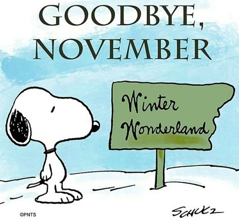 Winter November Goodbye November Quote goodbye november goodbye november quotes bye november snoopy goodbye november Goodbye November, November Quotes, Hello November, Peanuts Cartoon, Snoopy Wallpaper, Hello December, Snoopy Quotes, Snoopy Pictures, Snoop Dog