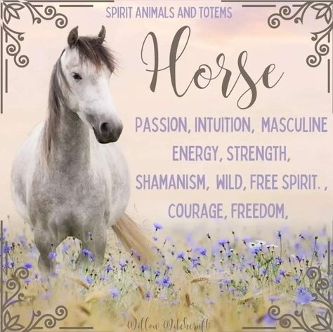 Spirit Animal Horse, Horse Symbolism, Horse Spirit Animal, Christian Witch, Animal Totem Spirit Guides, Kitchen Witches, Animal Symbols, Arch Angels, Rainbow Shelf