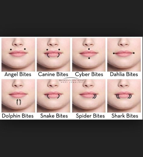 Otherwise, it would just be called a lip piercing.. The spider bites require two punctures on either side of the lower lip.. However the healing process varies from one person to the other depending on.. (these can be identically placed on either side, or closer together, as seen above).You can look new details of Face Piercing Under Lip by click this link : view details Types Of Face Piercings, Side Lip Piercing, Types Of Lip Piercings, Bottom Lip Piercing, Spider Bites Piercing, Different Types Of Face, Lower Lip Piercing, Upper Lip Piercing, Lip Piercing Ring