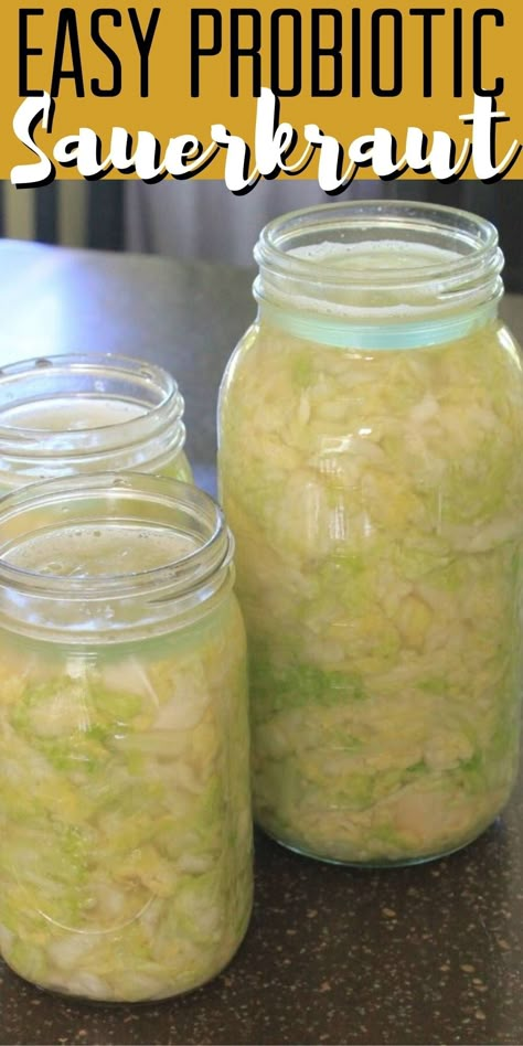 jars of sauerkraut Making Sauerkraut, Sour Cabbage, Fermented Sauerkraut, Sauerkraut Recipe, Homemade Sauerkraut, Probiotic Benefits, Fermented Cabbage, Sauerkraut Recipes, Fermentation Recipes