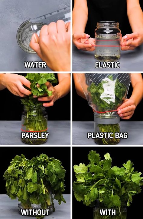 How to Preserve Food / 5-Minute Crafts How To Store Ginger, Emergency Preparedness Items, Kitchen Decor Hacks, Refrigerator Ideas, Healthy Fridge, Kitchen Hacks Food, Kitchen Decor Collections, Budget Freezer Meals, Preserve Food