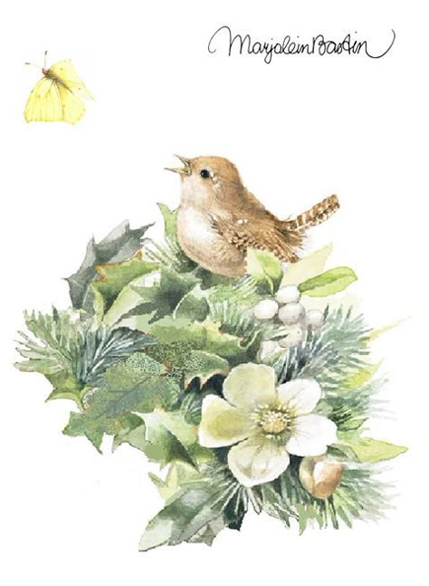 Marjolein Bastin Marjolein Bastin Art, Nature Sketch, Marjolein Bastin, Victorian Scrap, Nature Artists, Noel Christmas, Vintage Diy, Christmas Illustration, Birds Painting